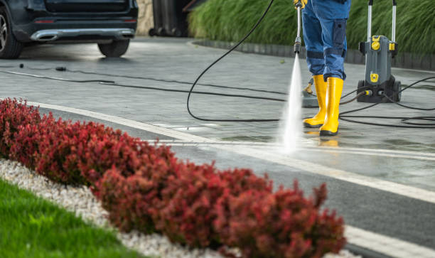 Best Gutter Cleaning  in Crest, CA